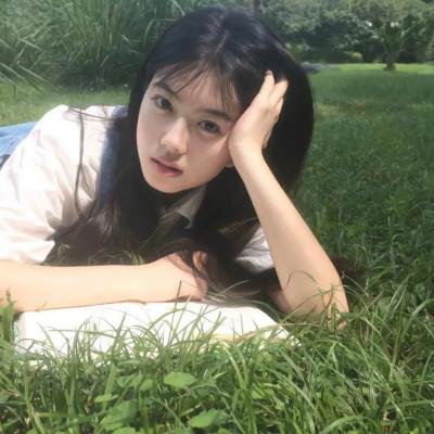 科搜研之女2022